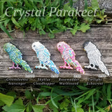 Cream Crystal Parakeet Pin Set