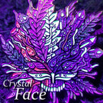 Crystal Face Pin